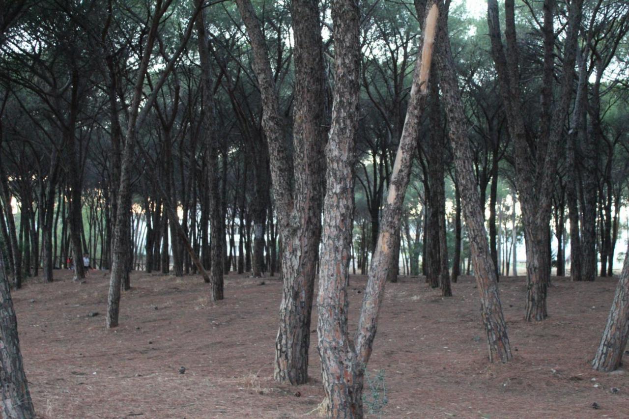 Park Hotel Le Dune Di Giovino Катандзаро Екстер'єр фото