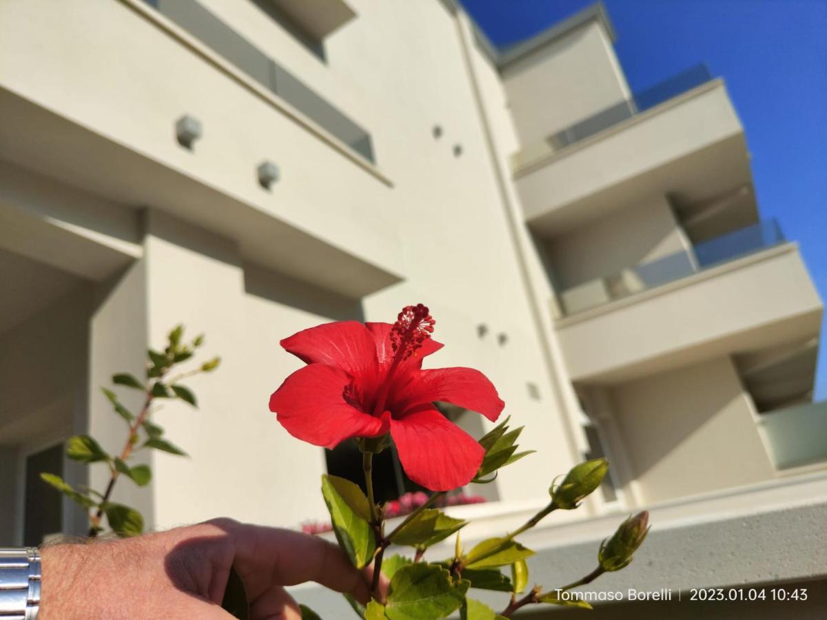 Park Hotel Le Dune Di Giovino Катандзаро Екстер'єр фото
